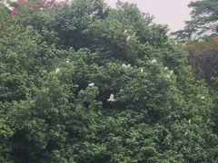 -怡海公园(桂城街道)