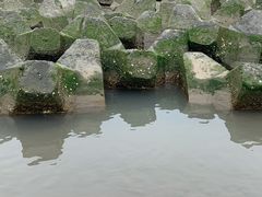 -阿尔法海鲜排档(爱琴海店)