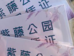 -嘉定紫藤园