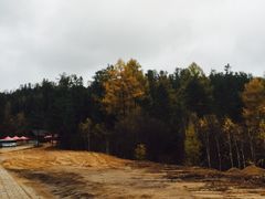 -五营红松林海景区