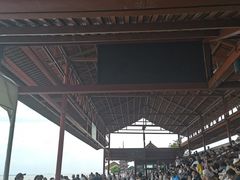 -观潮胜地公园
