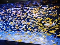 -成都浩海立方海洋公园