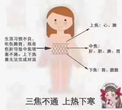 -香薇妮丝·定制减肥·身材管理