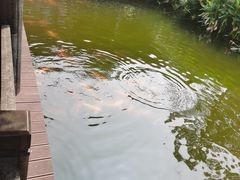 -枫香湖儿童公园