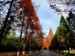 -塔川景区