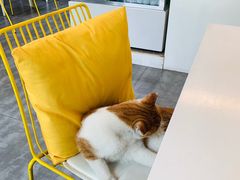 -五进制 Coffee Shop