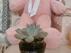 -KKV(深圳宏发大仟里店)