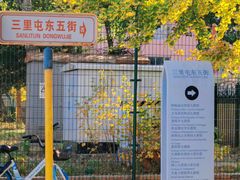 -三里屯东五街银杏大道