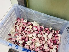 -老张拉面(青年路店)