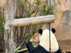 -青藏高原野生动物园