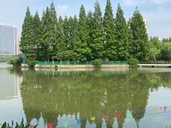 -黄兴公园