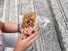 -六广门毛阿姨糯米饭