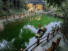 -十八棵（老龙井）御茶园(老龙井店)