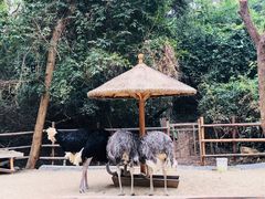 -三亚蜈支洲岛旅游区