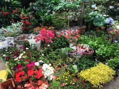 -双季花艺园艺市场(浦东店)