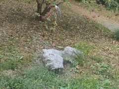 -东园小馆·早茶·淮扬小炒(宋夹城店)