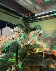 点击看大图 -恐龙探索乐园(磁器口店)