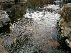 -龙达温泉生态城
