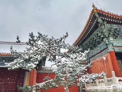 -北京市劳动人民文化宫(太庙)