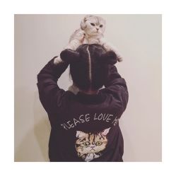 -东田造型