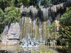 -西双版纳原始森林公园