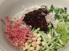 -大鸭梨烤鸭店(花园村店)
