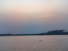 -丁香湖公园