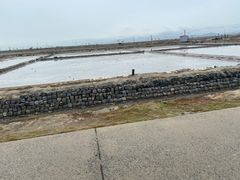 -莺歌海盐场