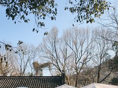 -宋宴(虎跑店)