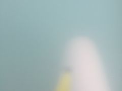 -奥帕拉拉水公园