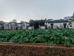 -清漾毛氏文化村