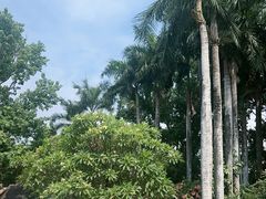 -西双版纳总佛寺