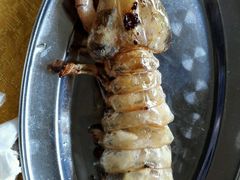 -蚝专家(北滘店)