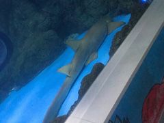 -常州海昌海洋探索馆