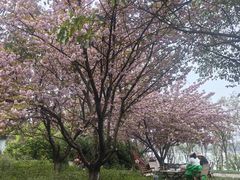 -灞河西岸滨河公园