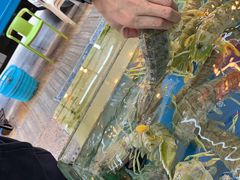 -海天花园酒家