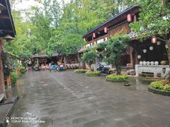 -青城甲(青城山店)