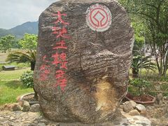 -福建土楼（华安）旅游区•大地土楼群