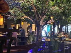 -绿茶餐厅(乐峰广场店)