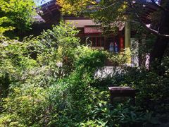 -中国茶叶博物馆(双峰馆区)