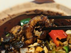 -天宝食坊·啫啫煲大排档(西华路店)