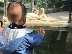 -贵州森林野生动物园