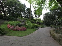 -广州兰圃