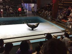 -洛阳龙门海洋馆