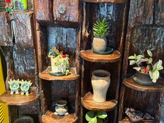 -慢丽江·云南野生菌土鸡锅(付家庄店)