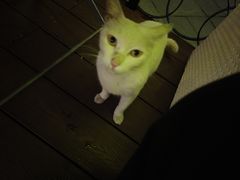 -Paulaner·德国帕拉娜自酿啤酒餐厅(海上世界店)