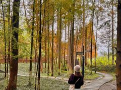 -桤木河湿地公园