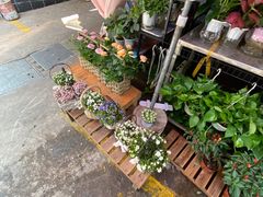 -循礼门鲜花花市(武汉循礼门店)