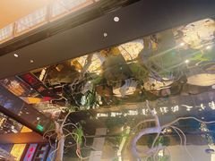 -桂满陇·海市蜃楼·黑金(国金店)