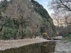 -水墨汀溪风景区